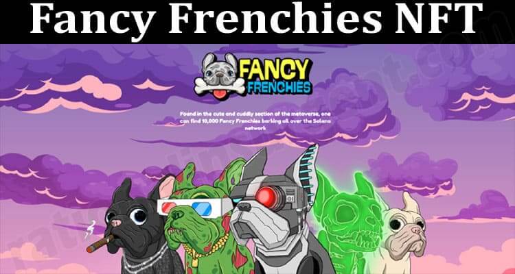 About General Informatiomn Fancy Frenchies NFT