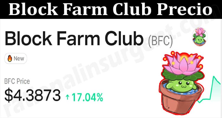 About General Information Block Farm Club Precio