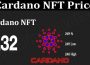 About General Information Cardano NFT Price