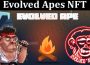 About General Information Evolved Apes NFT