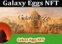 About General Information Galaxy Eggs NFT