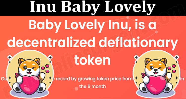About General Information Inu Baby Lovely