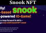 About General Information Snook NFT