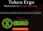 About General Information Token Ergo