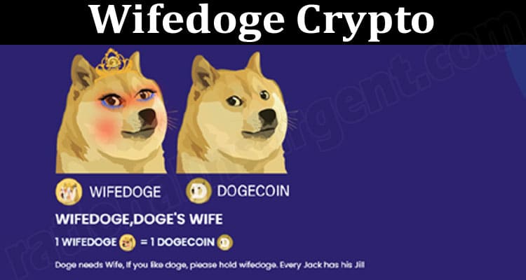 About General Information Wifedoge Crypto