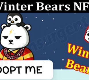About General Information Winter Bears NFT