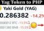 About General Information Yag Token To PHP