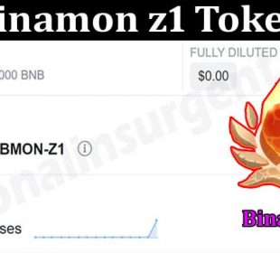 About General Informaton Binamon z1 Token