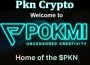 About General Infromation Pkn Crypto