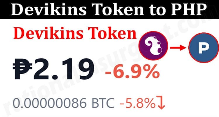 About general Information Devikins Token To PHP
