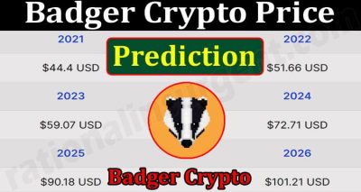 Abouit General Information Badger Crypto Price Prediction