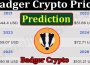 Abouit General Information Badger Crypto Price Prediction