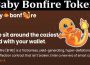 About General Information Baby Bonfire Token