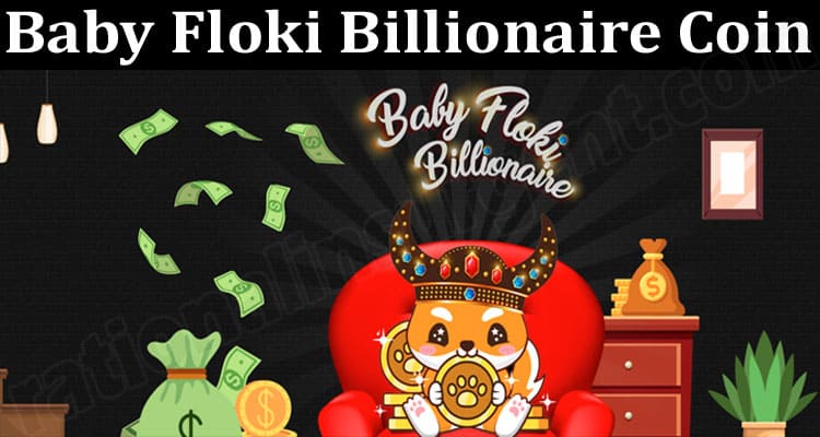 About General Information Baby Floki Billionaire Coin