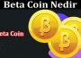 About General Information Beta Coin Nedir