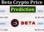 About General Information Beta Crypto Price Prediction