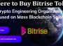 About General Information Buy Bitrise Token