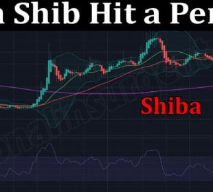 About General Information Can Shib Hit a Penny