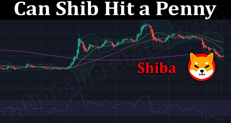 About General Information Can Shib Hit a Penny