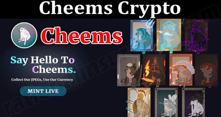cheems crypto