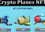 About General Information Crypto Planes NFT
