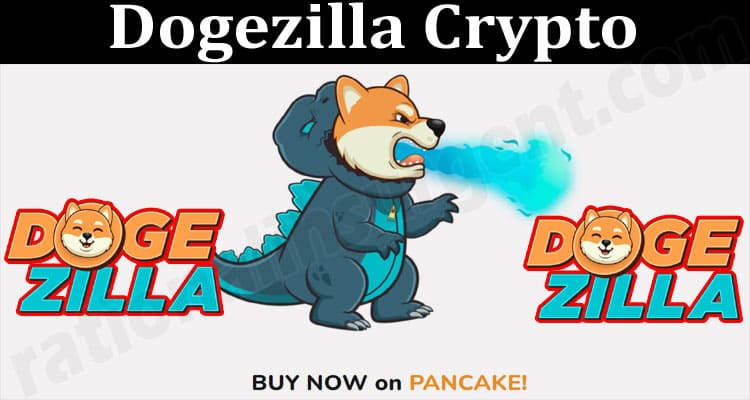 About General Information Dogezilla Crypto
