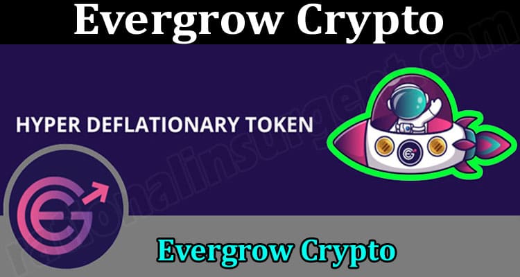 About General Information Evergrow Crypto