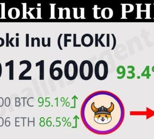 About General Information Floki Inu to PHP