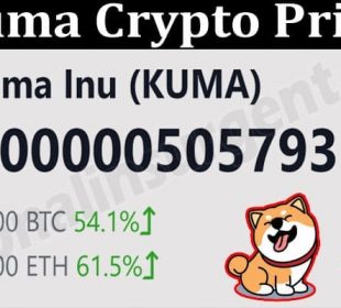 About General Information Kuma Crypto Price