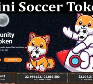 About General Information Mini Soccer Token