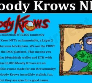 About General Information Moody Krows NFT About General Information Moody Krows NFT