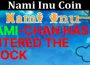 About General Information Nami Inu Coin