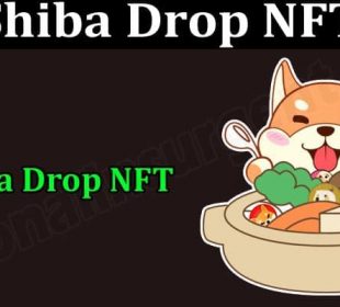 About General Information Shiba Drop NFT