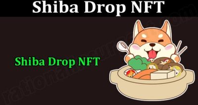 About General Information Shiba Drop NFT