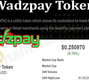 About General Information Wadzpay Token