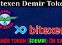 About General Innformation Bitexen Demir Token