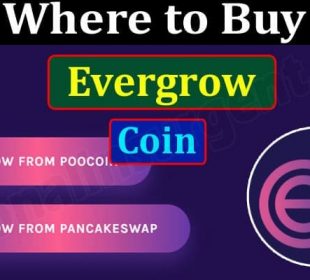 About general Information Buy Evergrow Coin