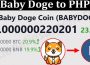About General Information Baby Doge To PHP