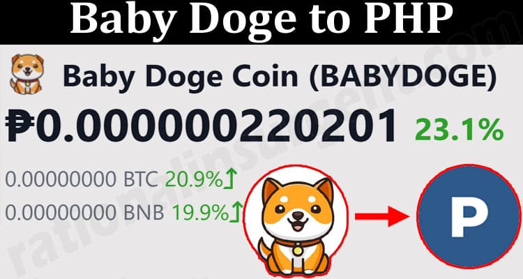 About General Information Baby Doge To PHP