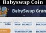 About General Information Babyswap Coin