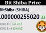 About General Information Bit Shiba Price