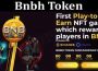 About General Information Bnbh Token