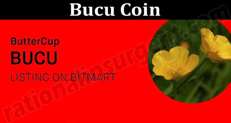 About General Information Bucu Coin