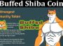 About General Information Buffed Shiba Coin