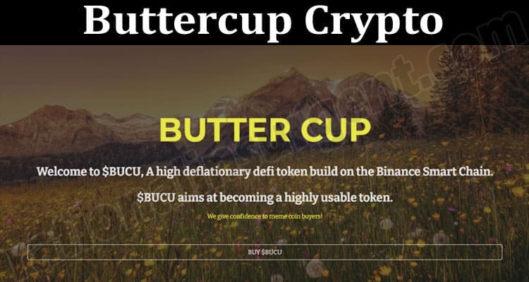 About General Information Buttercup Crypto