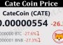 About General Information Cate Coin Price