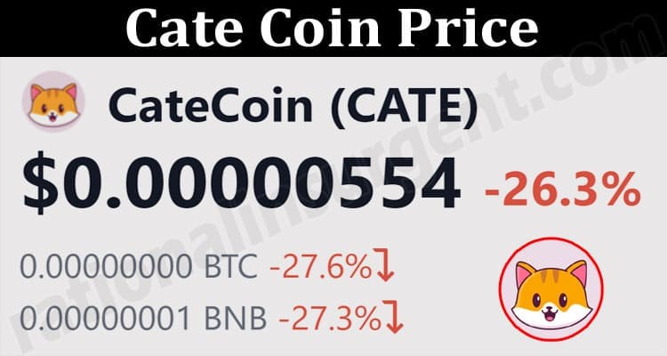 About General Information Cate Coin Price