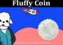About General Information Fluffy Coin