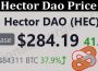 About General Information Hector Dao Price