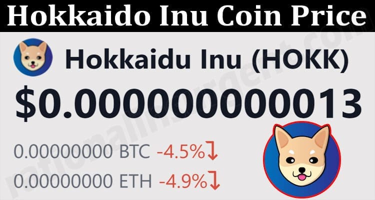 About General Information Hokkaido Inu Coin Price